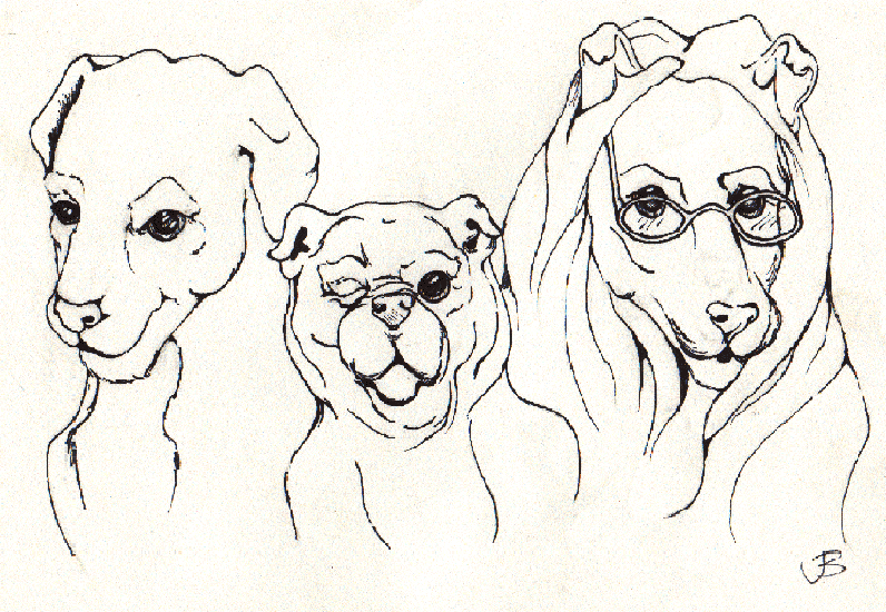 Click your favorite Sexy Dog
